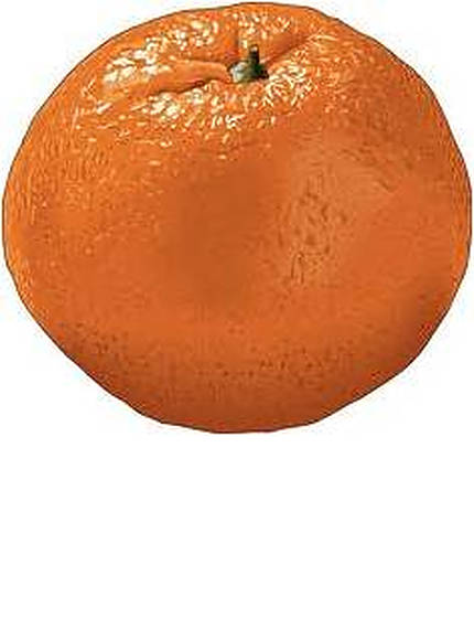 mandarincitrus-3.jpg