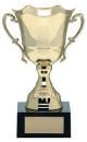 CBT060 gold metal cup on plastic base (540mm high)  $240.00