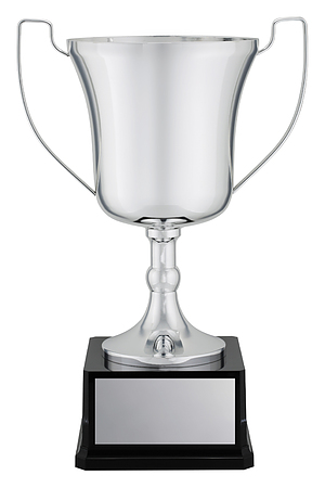 X3796 silver cup on black base $153.00