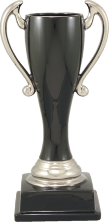 Z02A ceramic cup on base (200mm high) with silver trim $34.00