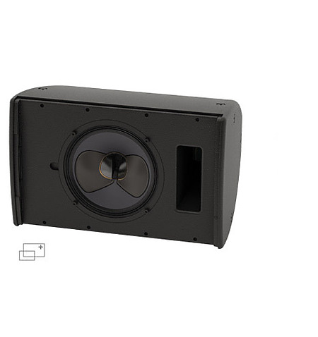 10 inch coaxial speaker
