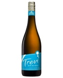 more on TREVI ORIGINAL SPARKLING WINE 750ML