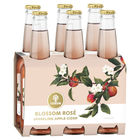 more on STRONGBOW BLOSSOM ROSE CIDER 8.2%  6 x 330ML STUBBIES