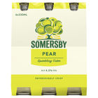 more on SOMERSBY PEAR 6 x 330ML STUBBIES