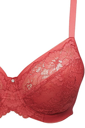 Sienna Cut and Sew Lace Bra - Image 3