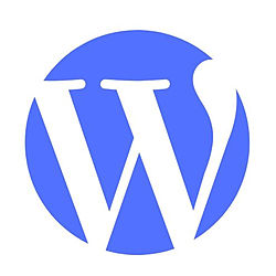 Wordpress Websites image - click to shop