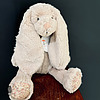 Photo of Bailee Plush Bunny 