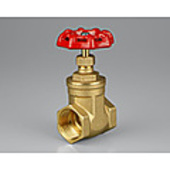 b. Brass Gate Valve 20mm BSP