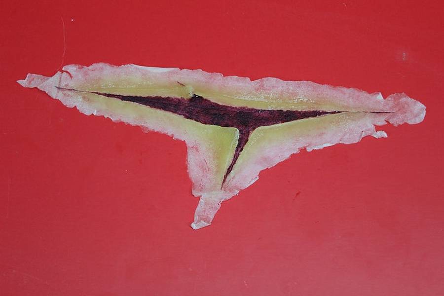 Water-Melon Shanked Laceration (IPA Soluble) - WMA-SH - Image 1