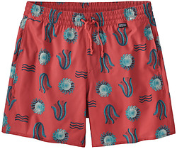 more on Patagonia Hydropeak Volley Shorts Hobson Spaced Sumac Red