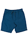 more on Element Altavista Men's Walkshorts