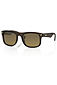 more on Carve Eyewear Swing City Matte Brown Black Polarized Sunglasses