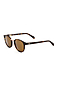 more on Otis A Day Late Matte Dark Tort Brown Sunglasses