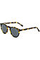 more on Otis Omar Dark Tort Sunglasses