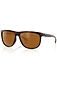 Photo of Carve Eyewear Matrix Tort Brown Polarised Sunglasses 