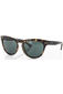 more on Carve Eyewear Sway Tort Sunglasses