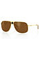 more on Carve Eyewear Conflict Gold Polarized Sunglasses