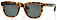 Photo of Carve Eyewear Homeland Tort Polarised Green Lens Sunglasses 