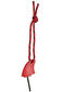 Photo of Surf Sail Australia Spectra Leash String with Fin Key 