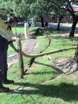 Environmentally friendly - trenching around tree roots to install electrical cable - minimal disturbance to vegetation